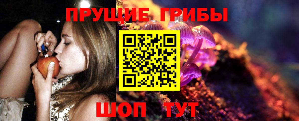 Галлюциногенные грибы GOLDEN TEACHER Вичуга